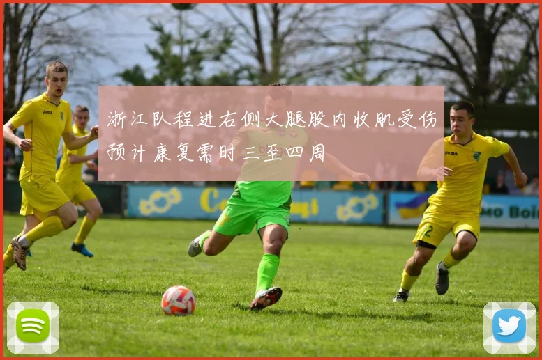 浙江队程进右侧大腿股内收肌受伤预计康复需时三至四周