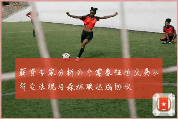 薪资专家分析公牛需象征性交易以符合法规与森林狼达成协议